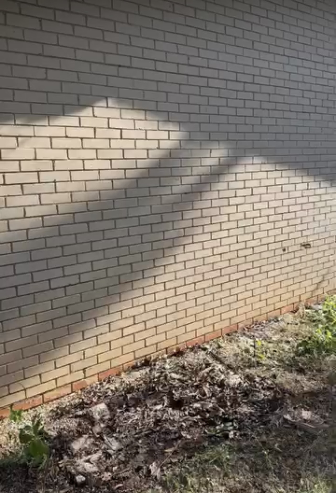 Side-Yard Haul-Off after