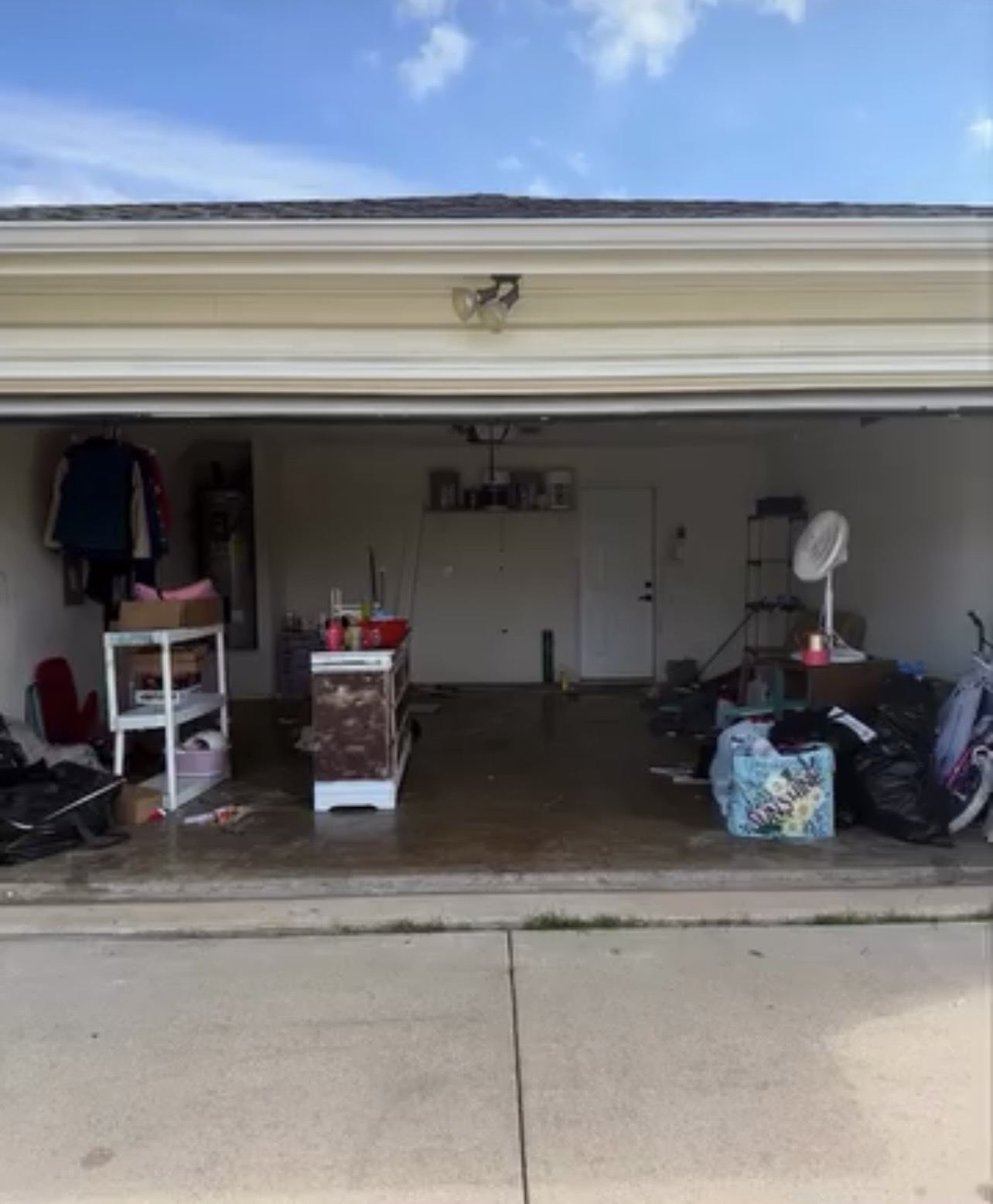 Garage Cleanout before